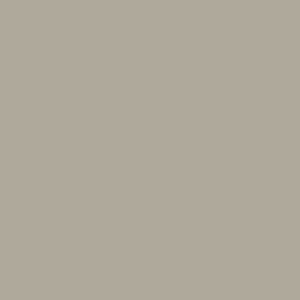 Ash Gray Frost